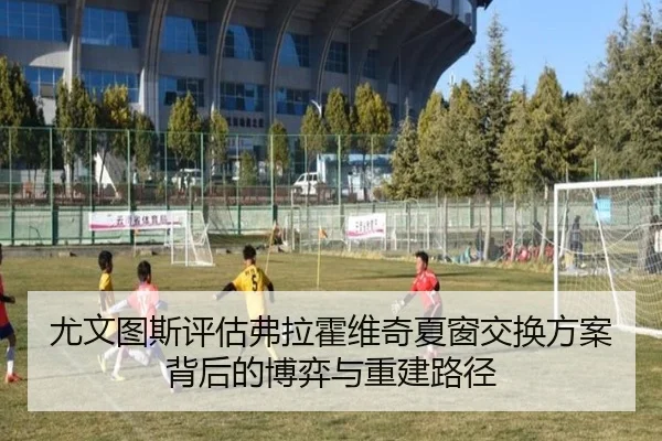 尤文图斯评估弗拉霍维奇夏窗交换方案背后的博弈与重建路径